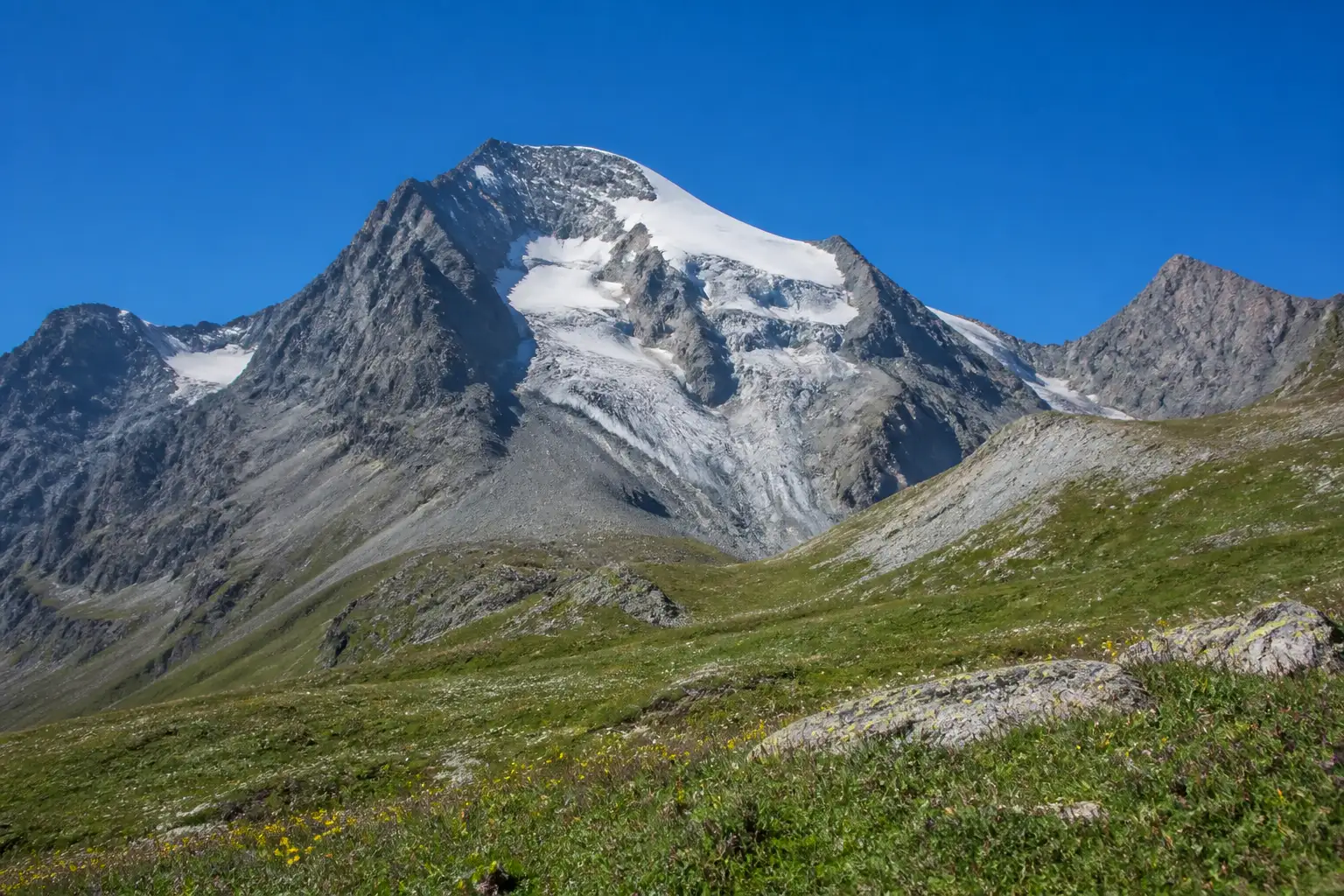 Vergletscherter Gipfel über einer Almwiese, typisch für Vanoise und Écrins